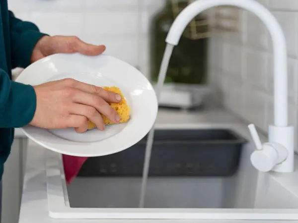 img of Solo me queda lavar este plato