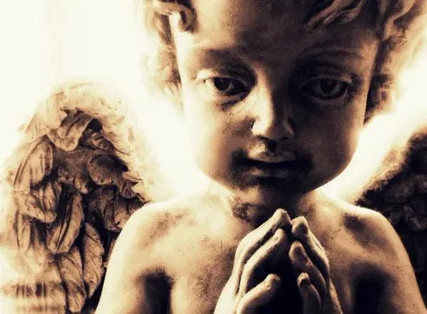 img of El ángel de los niños