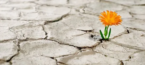 img of La esperanza es lo último que se pierde